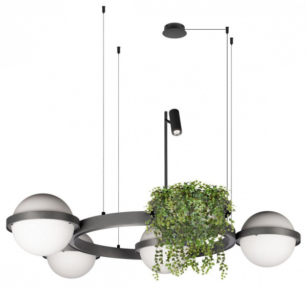 Фото Подвесная люстра Loft it Jardin 10121/4 Dark grey