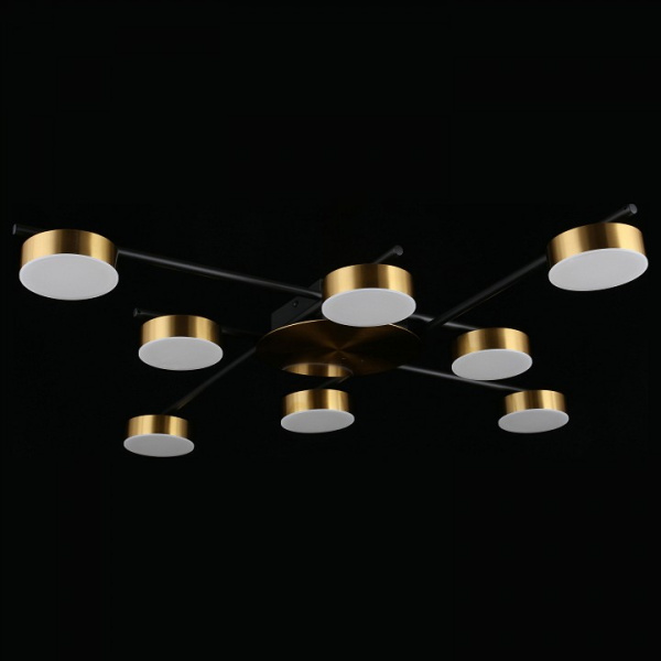 Фото Потолочная люстра Aployt Delayn APL.042.07.56