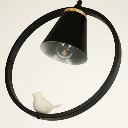 Открыть Подвесной светильник F-promo Uccello 2938-1P Фото Подвесной светильник F-promo Uccello 2938-1P