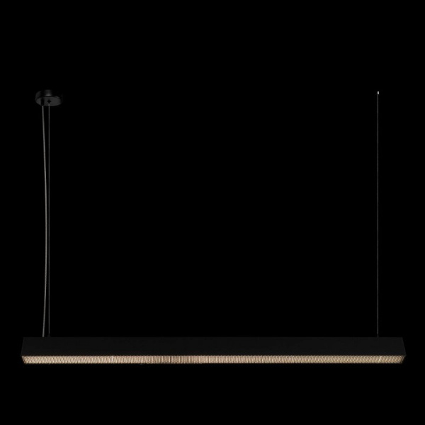 Фото Подвесной светильник Loft it Vim 10318/C Black