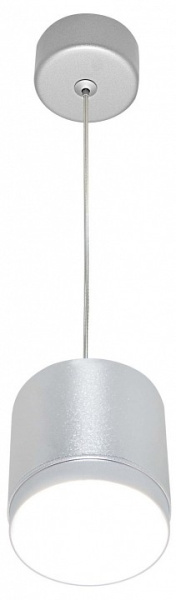 Фото Подвесной светильник Maytoni Polar P088PL-GX53-S
