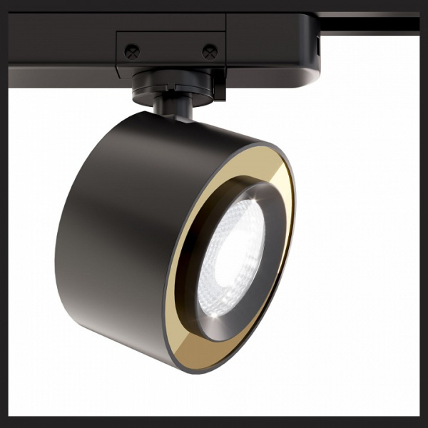 Фото Светильник на штанге Maytoni Track lamps TR023-1-12B4K
