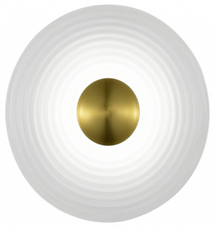 Фото Накладной светильник ST-Luce Moon SL6125.311.01