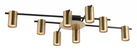 Фото Потолочная люстра Favourite Topper 2827-8P