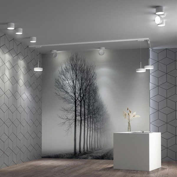 Фото Накладной светильник Novotech Prometa 358749