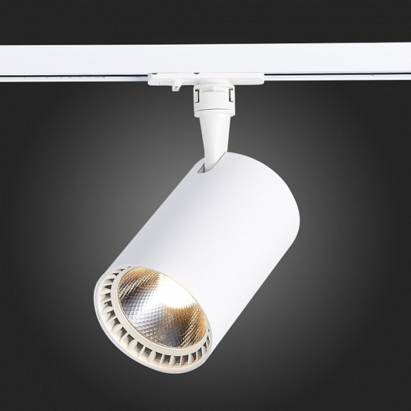 Фото Светильник на штанге ST-Luce Cami ST351.546.30.36