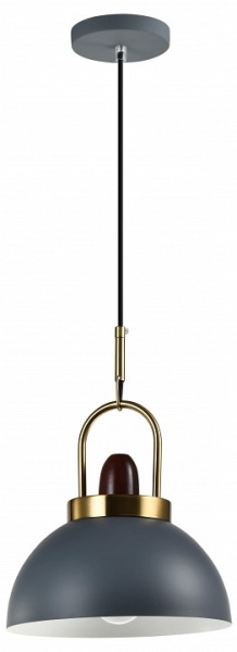 Фото Подвесной светильник Moderli Ravenna V10446-1P