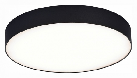 Фото Накладной светильник ST-Luce ST606 ST606.442.48