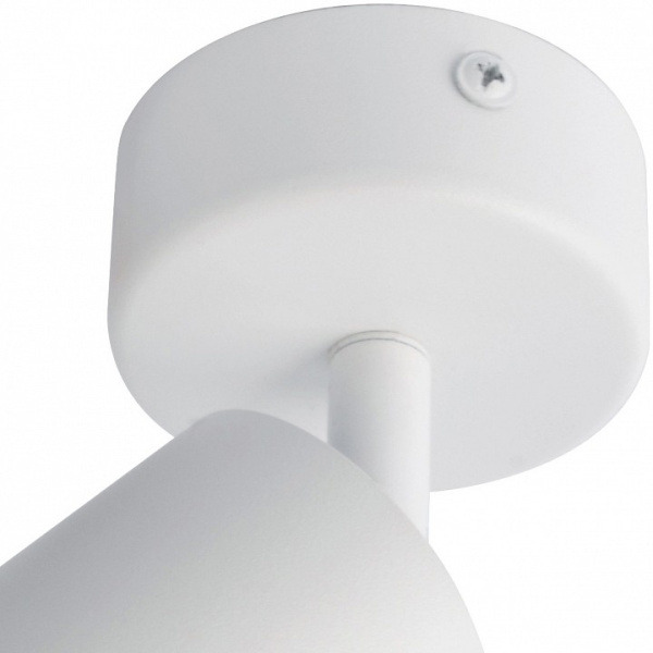 Фото Спот Arte Lamp Aquarius A3216PL-1WH