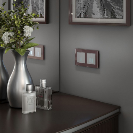 Фото Выключатель одноклавишный с подсветкой без рамки Werkel серебряный W4510006