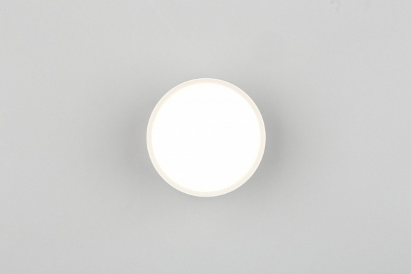 Фото Накладной светильник Omnilux Abano OML-103309-06