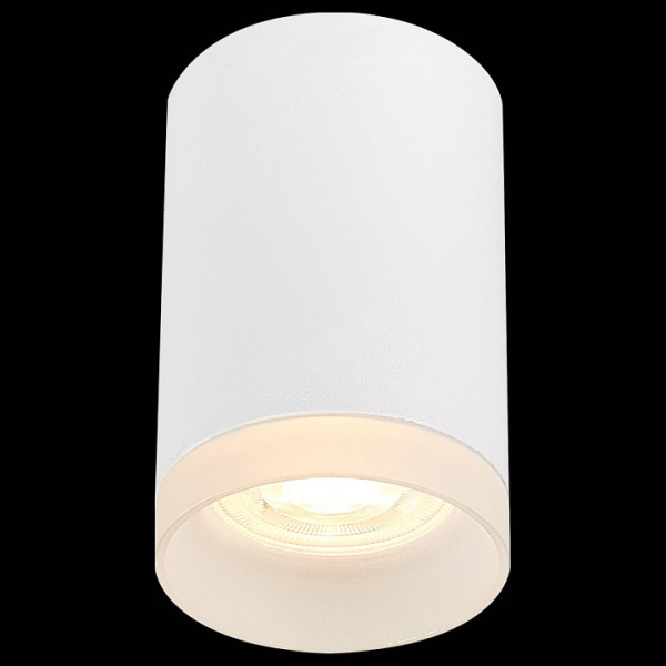 Фото Накладной светильник ST-Luce ST100 ST100.502.01