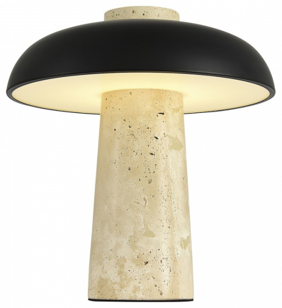 Фото Настольная лампа декоративная ST-Luce Earthy SL1194.424.01