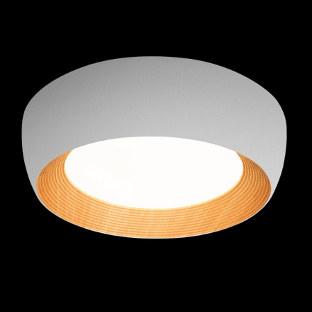 Фото Накладной светильник Loft it Folk 10255/500 White