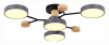 Открыть Потолочная люстра EVOLUCE Faema SLE6006-702-04 Фото Потолочная люстра EVOLUCE Faema SLE6006-702-04