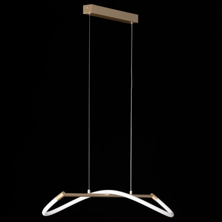 Фото Подвесной светильник Citilux Eva CL210112