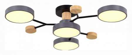 Открыть Потолочная люстра EVOLUCE Faema SLE6006-702-04 Фото Потолочная люстра EVOLUCE Faema SLE6006-702-04