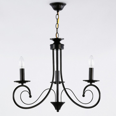 Фото Подвесная люстра Ambrella Light TR TR9606