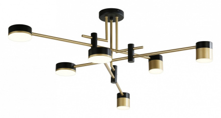 Фото Потолочная люстра Favourite Modul 4013-6P