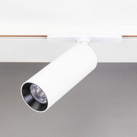 Фото Светильник на штанге Citilux Тубус CL01T120N