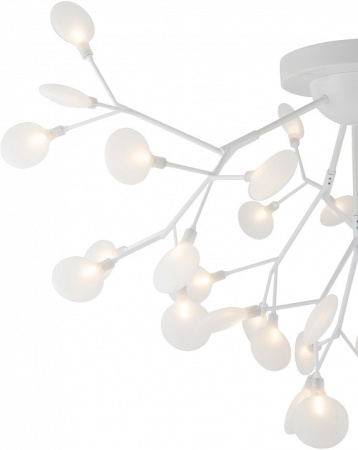 Фото Потолочная люстра Freya Florencia FR5049CL-36W1