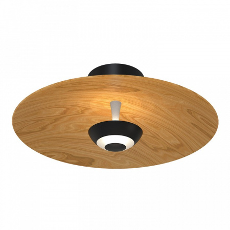 Фото Накладной светильник Favourite Rueda 4290-1W