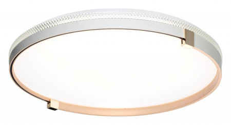 Открыть Накладной светильник Sonex Olidi White 7646/EL Фото Накладной светильник Sonex Olidi White 7646/EL