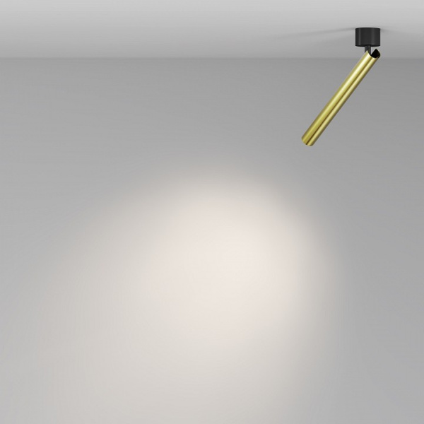 Фото Светильник на штанге Maytoni Focus T C141CL-L300-6W4K-BBS