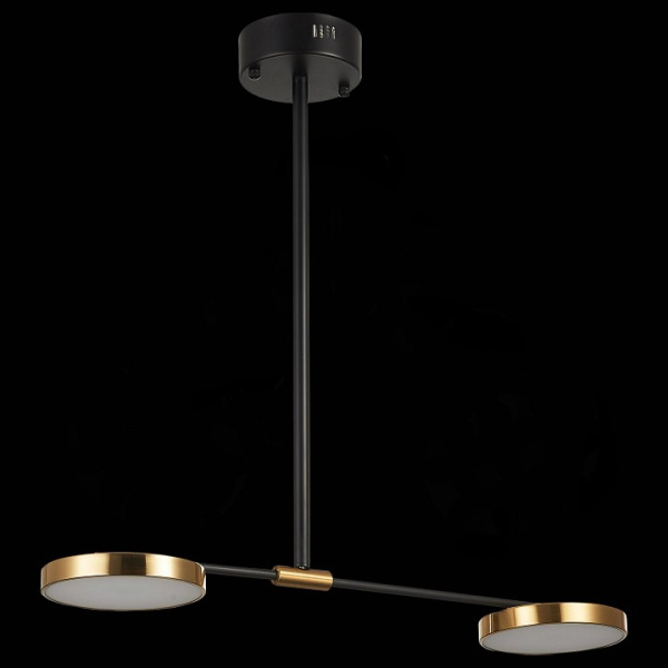 Открыть Светильник на штанге ST-Luce Farone SL1605.403.02 Фото Светильник на штанге ST-Luce Farone SL1605.403.02