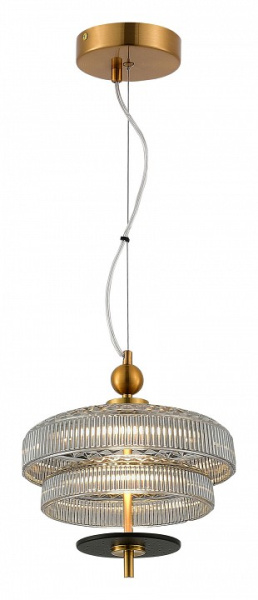 Фото Подвесной светильник ST-Luce Oriental SL6122.303.01