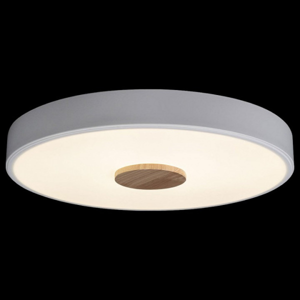 Фото Накладной светильник Loft it Axel 2 10003/24 White