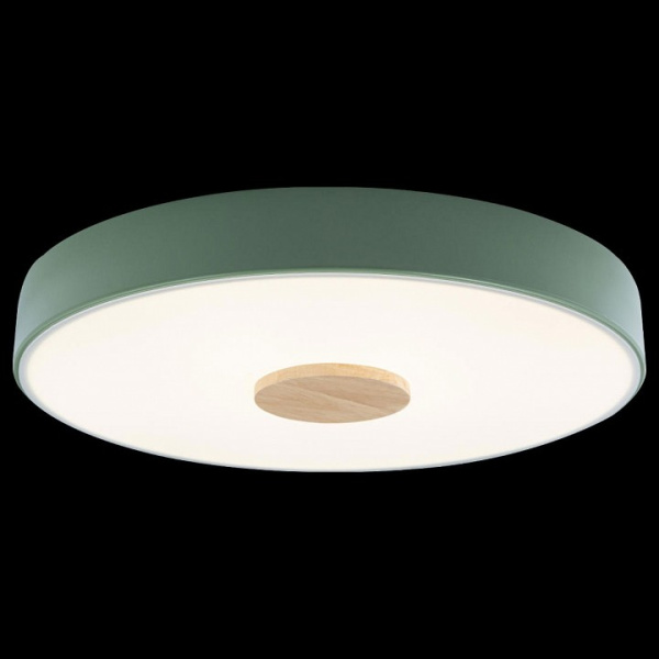 Фото Накладной светильник Loft it Axel 2 10003/24 Green