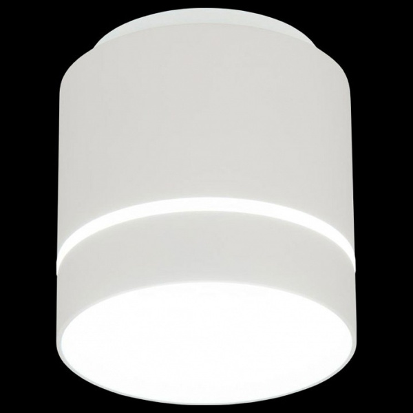 Фото Накладной светильник Citilux Борн CL745020N
