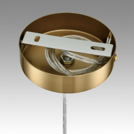 Фото Подвесной светильник Lumion Jane 6592/1