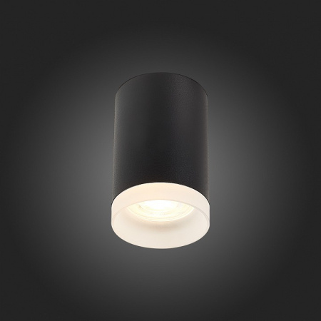 Фото Накладной светильник ST-Luce ST100 ST100.402.01