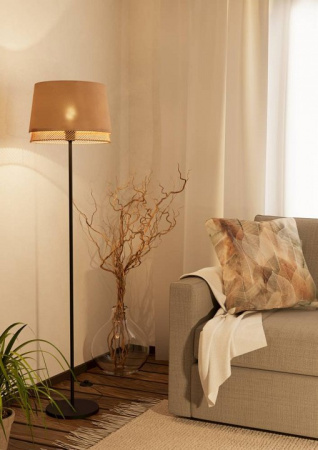 Фото Торшер Eglo Tabley 43978