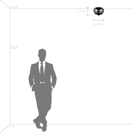 Открыть Накладной светильник Lightstar Celesta 809002 Фото Накладной светильник Lightstar Celesta 809002