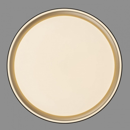 Фото Накладной светильник Citilux BOSS CL751251G