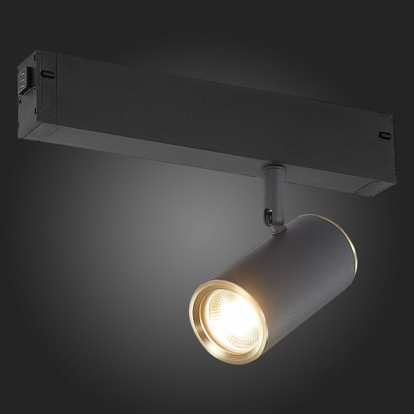 Фото Светильник на штанге ST-Luce SKYLINE 220 ST504.436.01