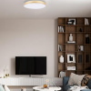 Открыть Накладной светильник Loft it Flims 10228/B Фото Накладной светильник Loft it Flims 10228/B
