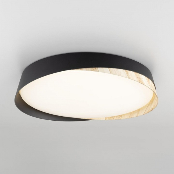 Фото Накладной светильник Citilux BONNY CL754351G