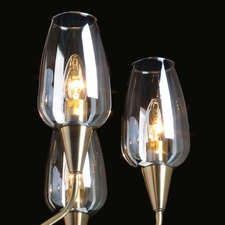 Фото Подвесная люстра MW-Light Элла 20 483015606