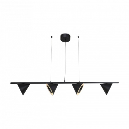 Фото Подвесной светильник Freya Etro FR6141PL-L28B