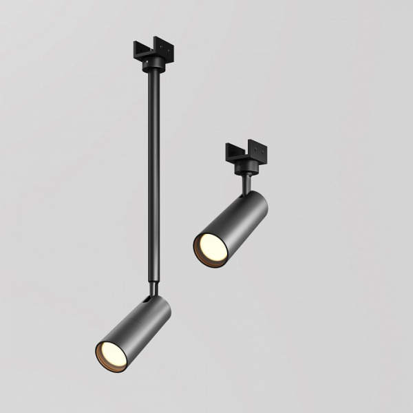 Фото Светильник на штанге Maytoni Focus O-TR01-2-P-8WB3K