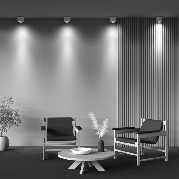 Фото Накладной светильник Maytoni Alfa C064CL-01-25W3K-D-RD-WB