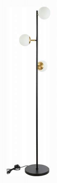Фото Торшер EVOLUCE Forli SLE220405-03
