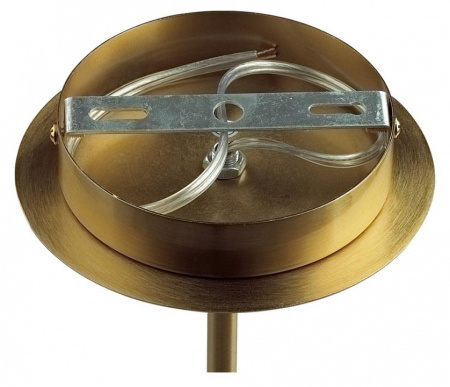 Фото Люстра на штанге Lumion Madonna 6554/6C