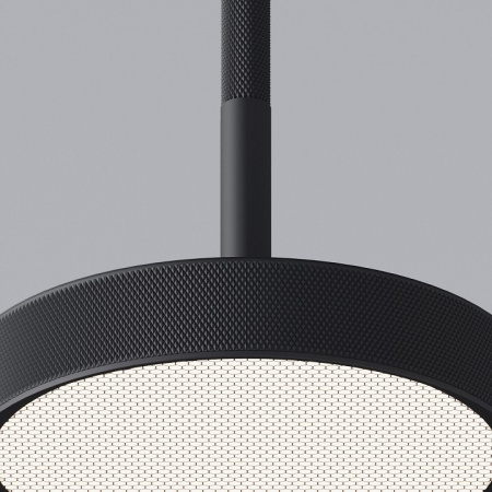 Фото Подвесной светильник Elektrostandard Plate a065411