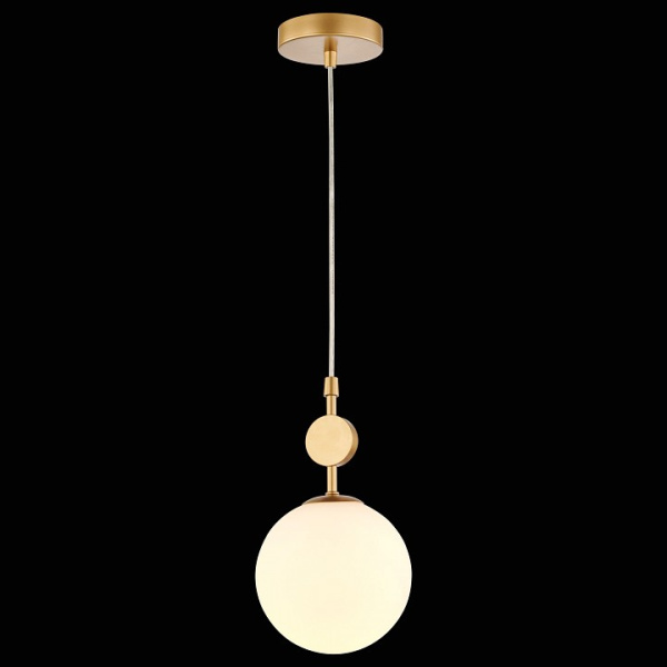 Фото Подвесной светильник Favourite Absolute 2928-1P