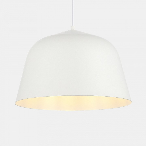Фото Подвесной светильник EVOLUCE Blank SLE1805-503-01